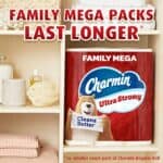 Charmin Toilet Paper Ultra Strong Clean Touch, 24 Family Mega Rolls = 123 Regular Rolls