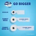 Charmin Ultra Soft Cushiony Touch Toilet Paper, 24 Family Mega Rolls = 123 Regular Rolls