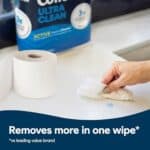 Cottonelle Ultra Clean Toilet Paper with Active CleaningRipples Texture, 24 Family Mega Rolls (24 Family Mega Rolls = 132 Regular Rolls) (4 Packs of 6), 353 Sheets Per Roll,...