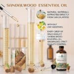 EVOKE OCCU Sandalwood Essential Oils 4 Fl Oz, Pure Sandalwood Oil for Diffuser Candle Soap Making - 118ml