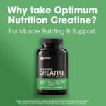 Optimum Nutrition Micronized Creatine Monohydrate Capsules, Keto Friendly, 2500mg, 100 Capsules