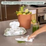 The Honest Company Clean Conscious Unscented Wipes | Over 99% Water, Compostable, Plant-Based, Baby Wipes | Hypoallergenic for Sensitive Skin, EWG Verified | Pattern Play, 720...