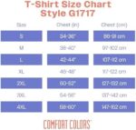 Comfort Colors Adult Short Sleeve Tee, Style 1717, Multipack