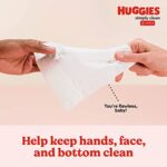 Huggies Simply Clean Fragrance-Free Baby Wipes, Unscented Diaper Wipes, 11 Flip-Top Packs (704 Wipes Total)