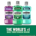 Listerine Freshburst Antiseptic Mouthwash for Bad Breath, Kills 99% of Germs That Cause Bad Breath & Fight Plaque & Gingivitis, ADA Accepted Mouthwash, Spearmint, 1 L, Pack of 2