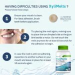 OraCoat XyliMelts Dry Mouth Relief Moisturizing Oral Adhering Discs 100 Count, Mild Mint with Xylitol, for Dry Mouth, Stimulates Saliva, Non-Acidic