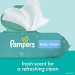 Pampers Baby Clean Wipes, Baby Fresh Scented Baby Wipes, 864 Baby Wipes Total (12 Flip-Top Packs)