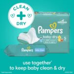 Pampers Baby Clean Wipes, Baby Fresh Scented Baby Wipes, 864 Baby Wipes Total (12 Flip-Top Packs)